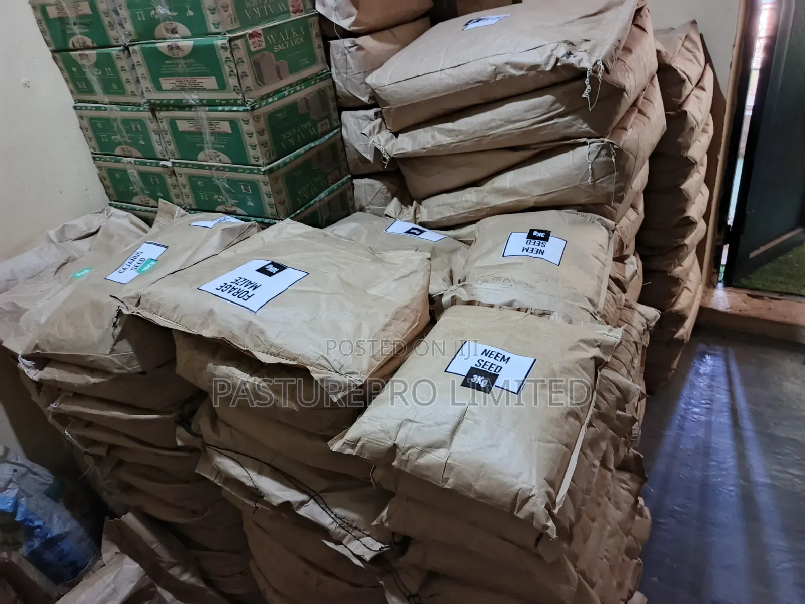 Pasture Grass Seeds