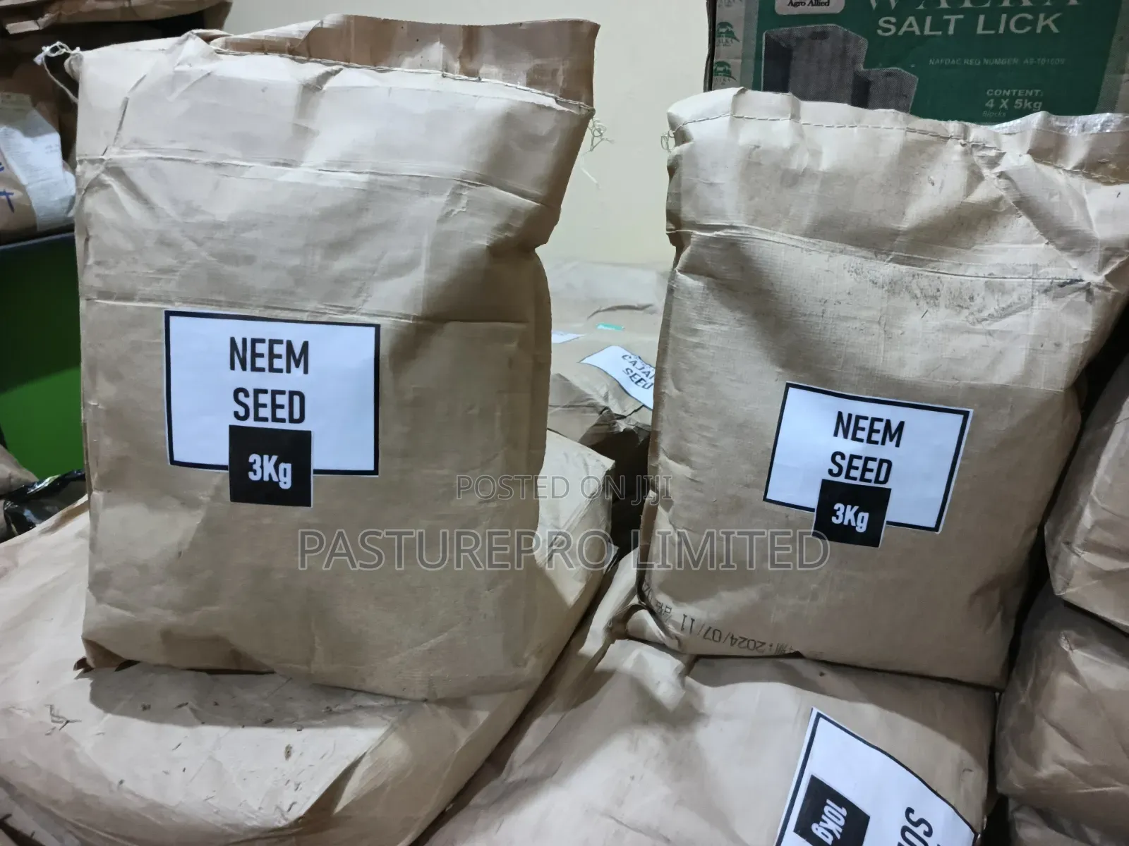 Neem Seeds
