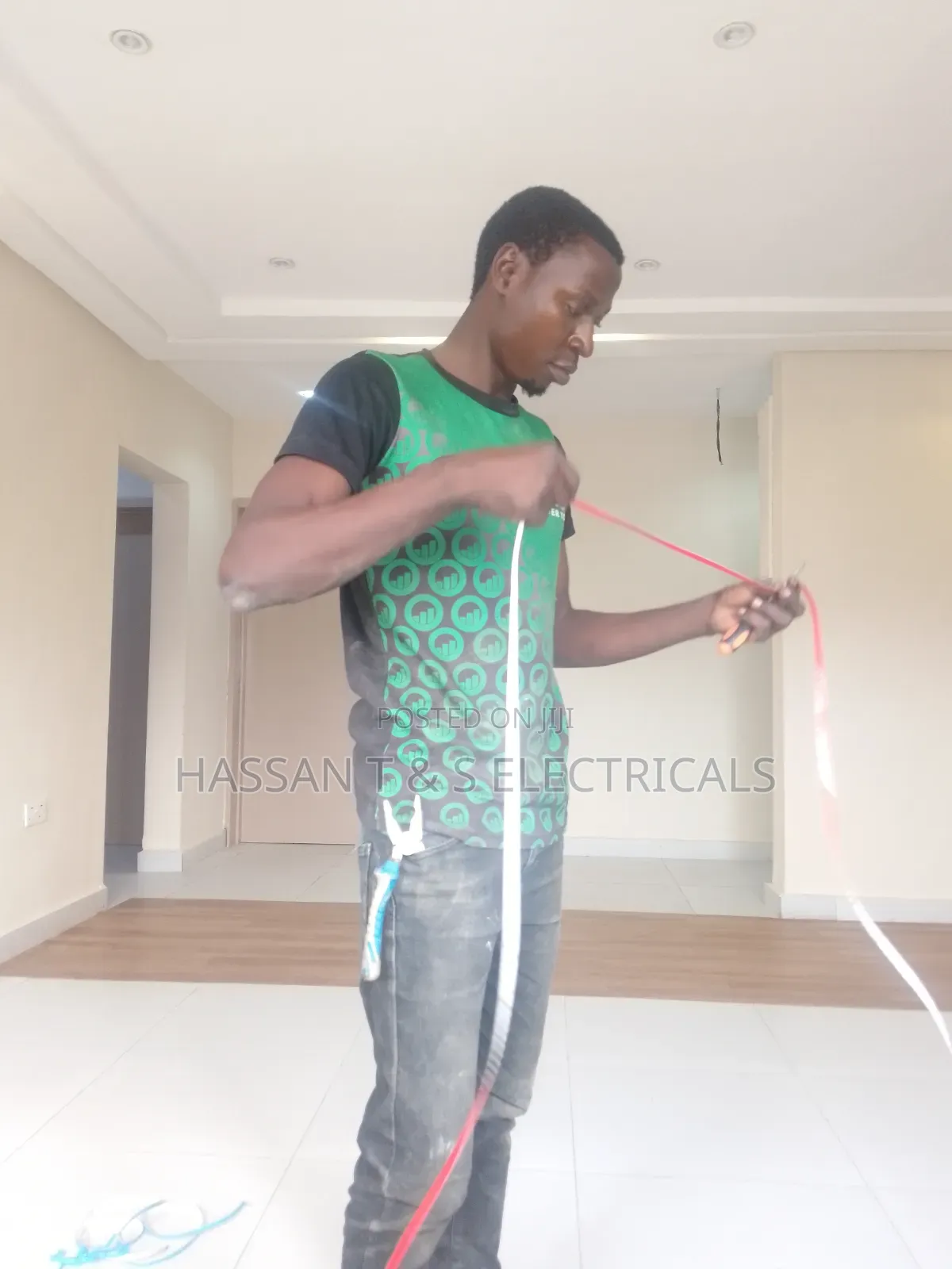 Professional Electrician
