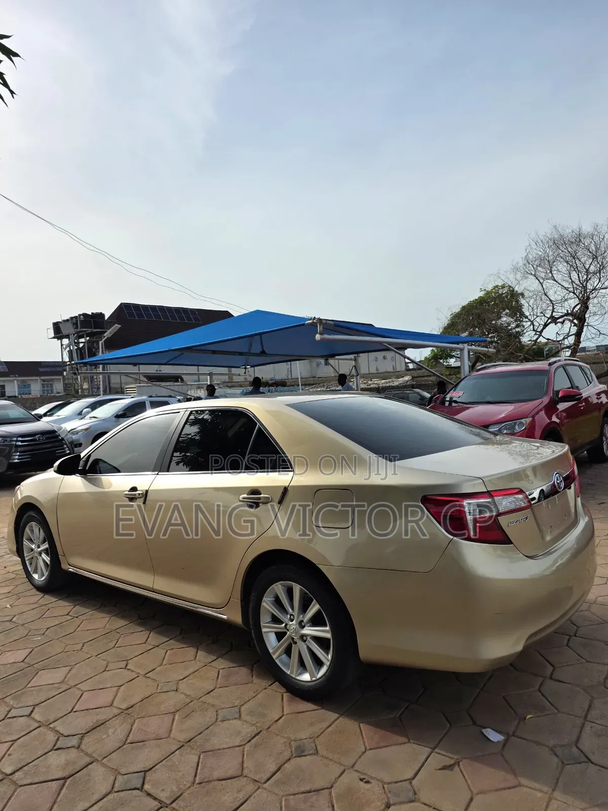 Toyota Camry XLE 4dr Sedan (2.5L 4cyl 6A) 2013 Gold