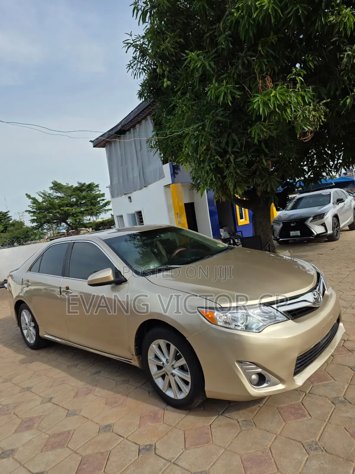 Toyota Camry XLE 4dr Sedan (2.5L 4cyl 6A) 2013 Gold