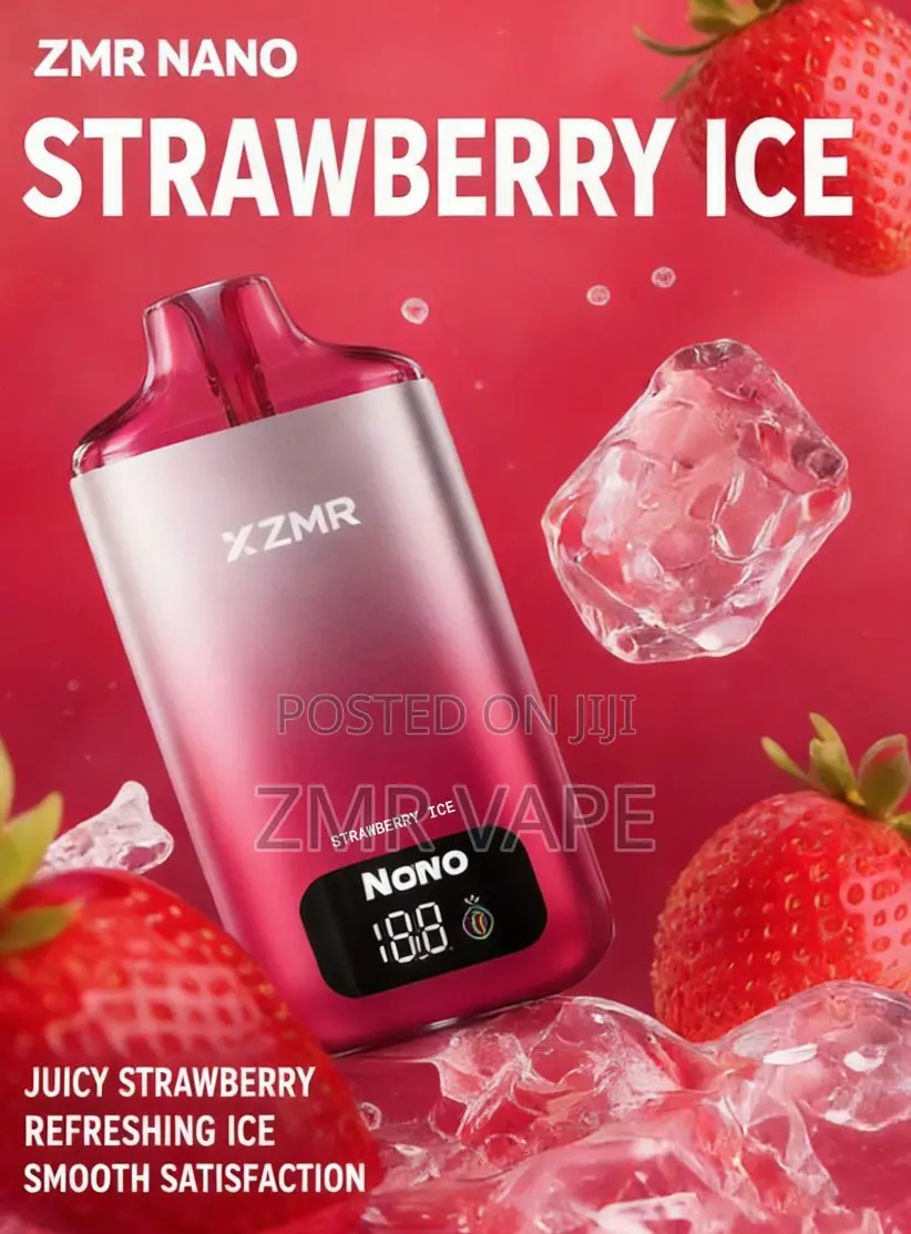 ZMR Nano Rechargeable Disposable Icy Vape With Screen