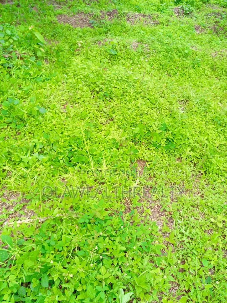 632sqm Residential Land at Carlton Gate Estate