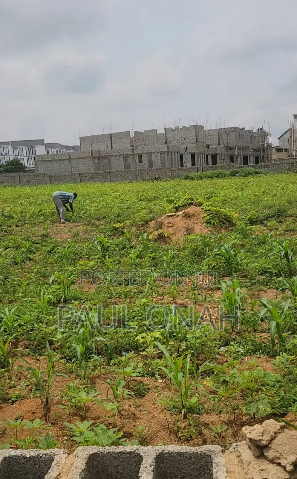 A Plot of Land
