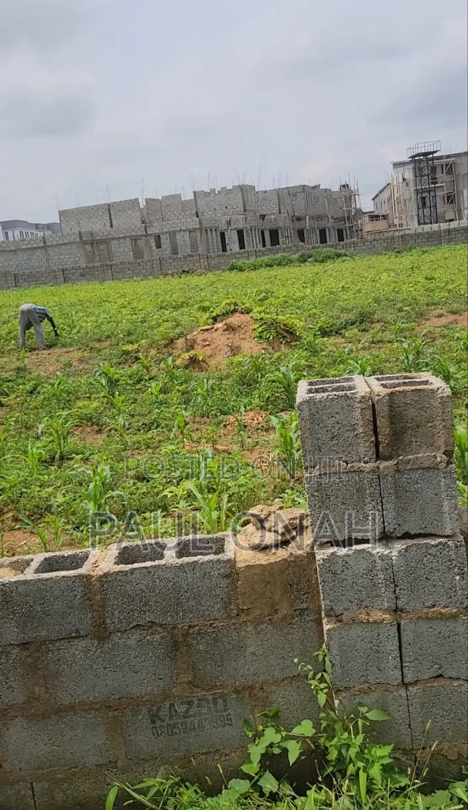 A Plot of Land