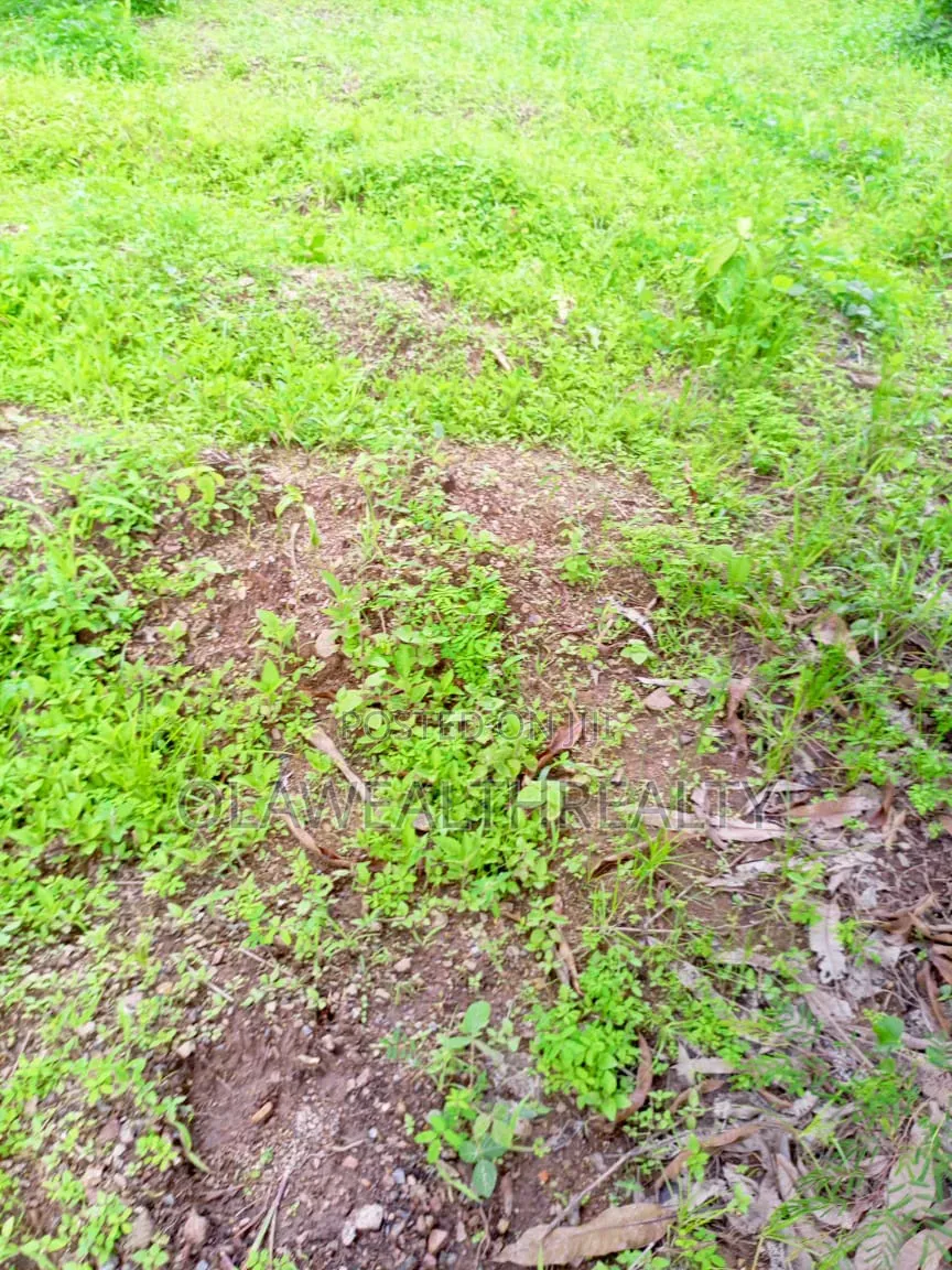 1,200sqm Residential Land at Kolapo Ishola Gra Phase 1