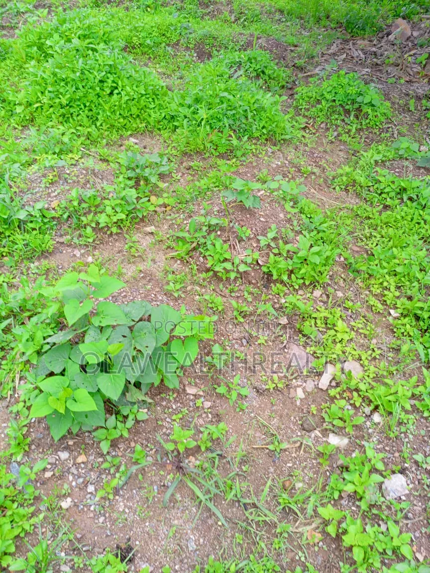 1,200sqm Residential Land at Kolapo Ishola Gra Phase 1