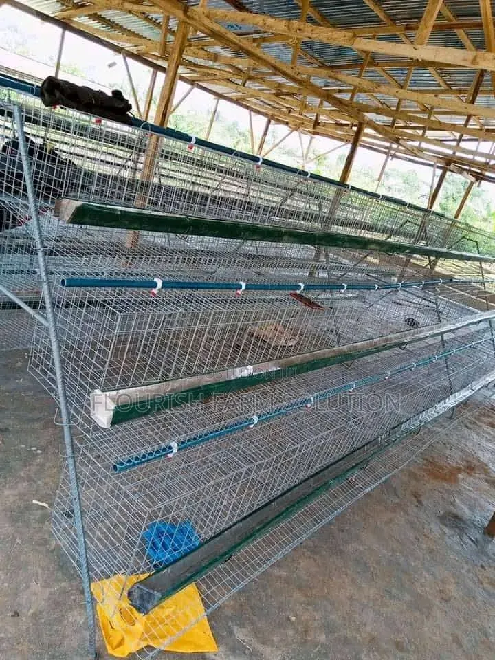 Happiness Poultry Equipments