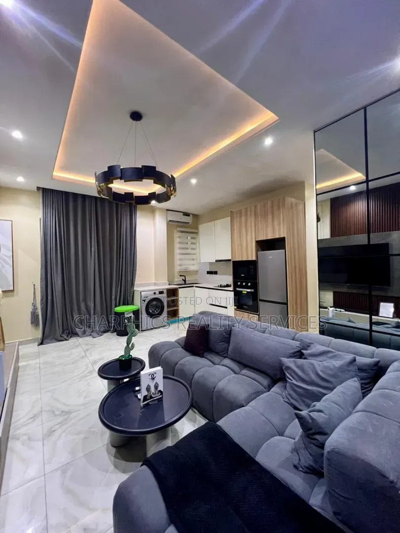 Furnished Mini Flat in Lekki Phase 1 for rent