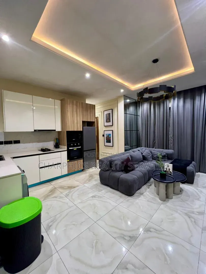 Furnished Mini Flat in Lekki Phase 1 for rent