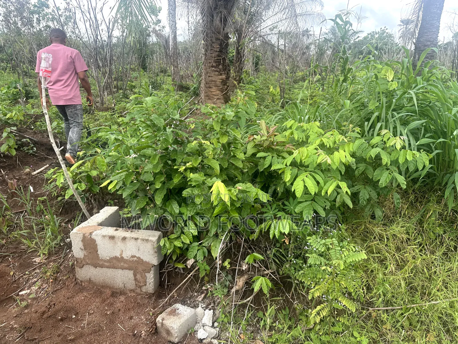 Plots of Land for Sale