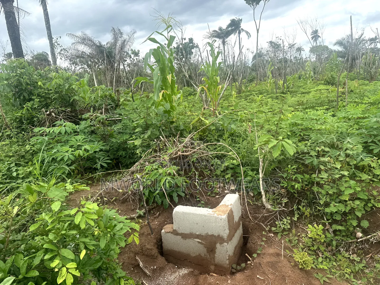 Plots of Land for Sale