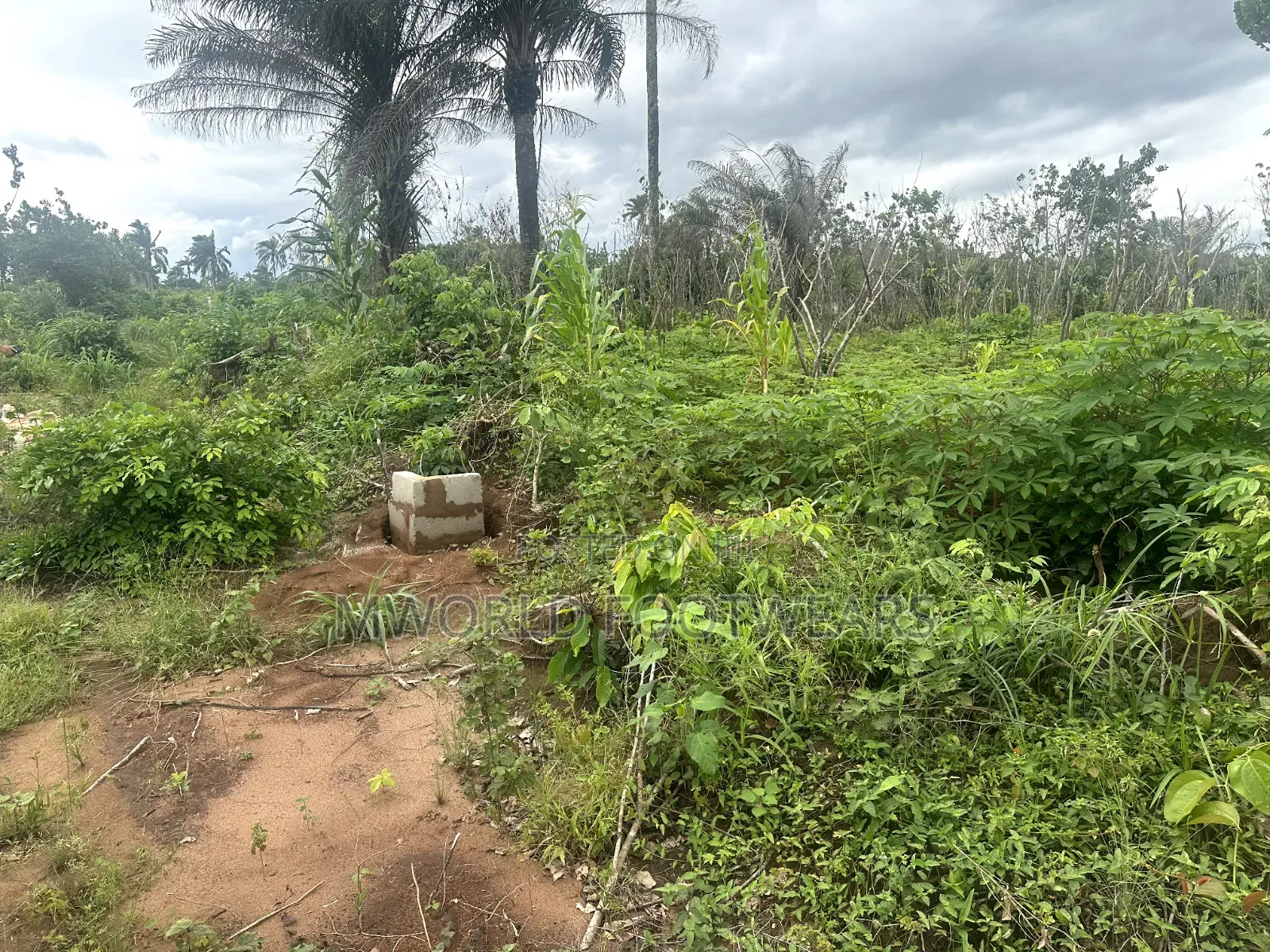Plots of Land for Sale