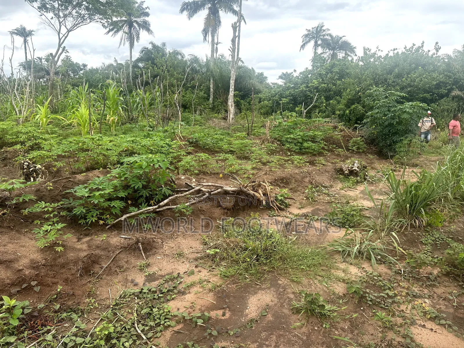 Plots of Land for Sale