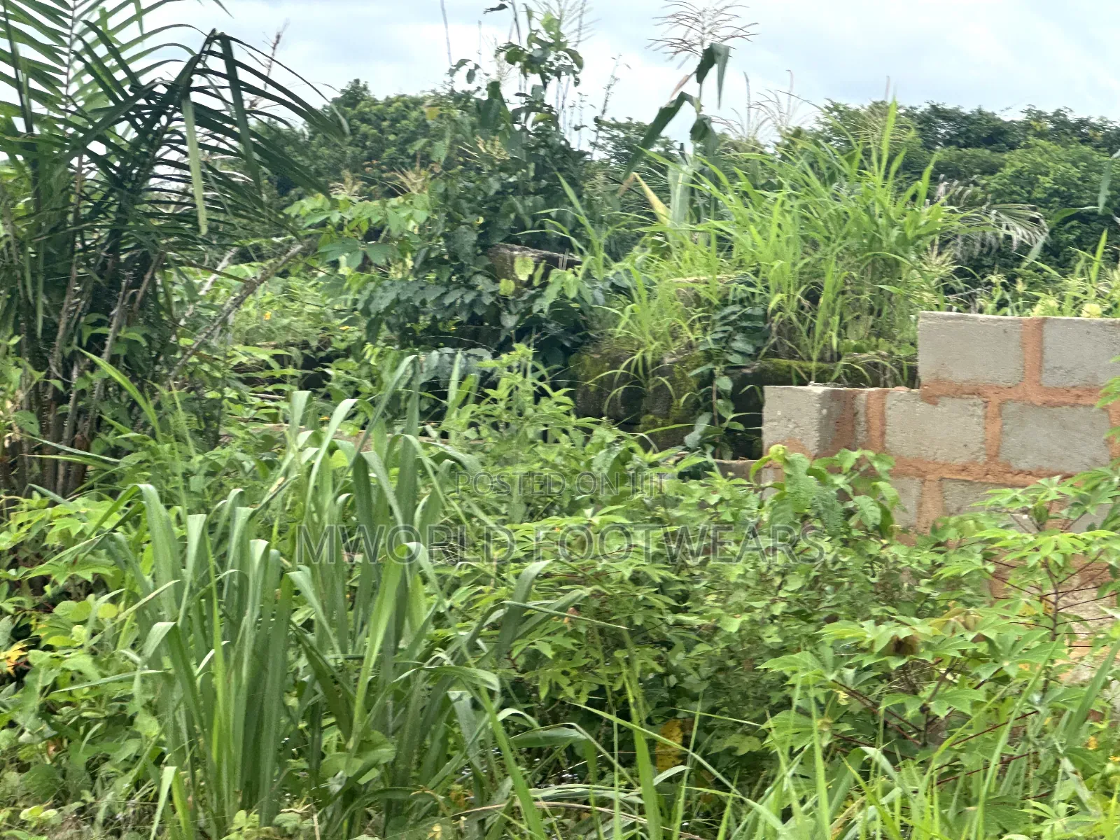 Plots of Land for Sale