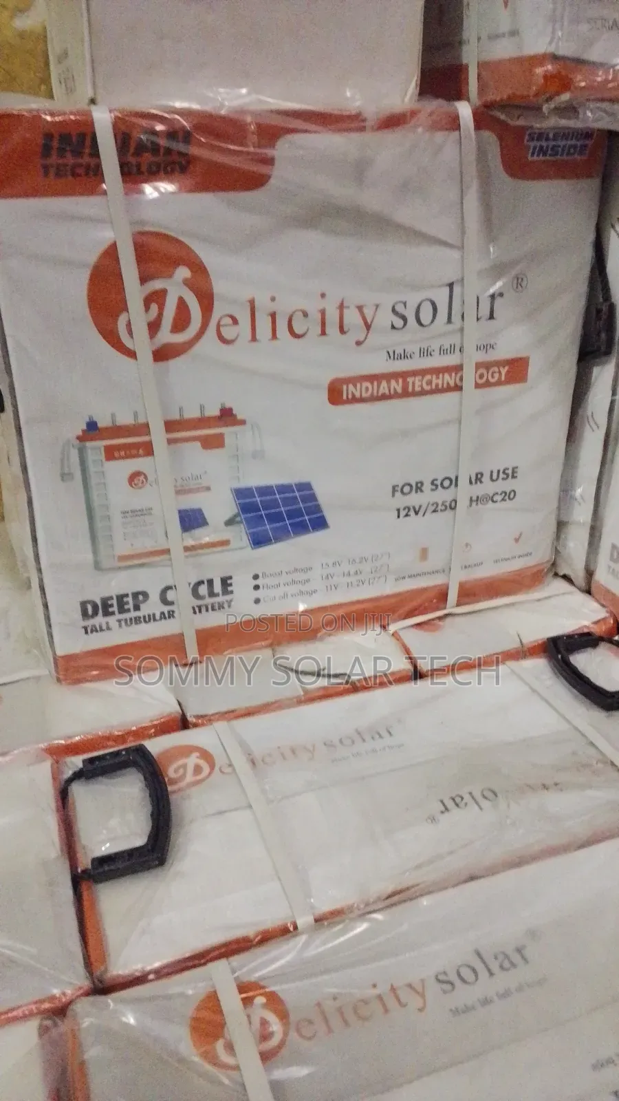 Delicity Tubular Battery 250ah 12v