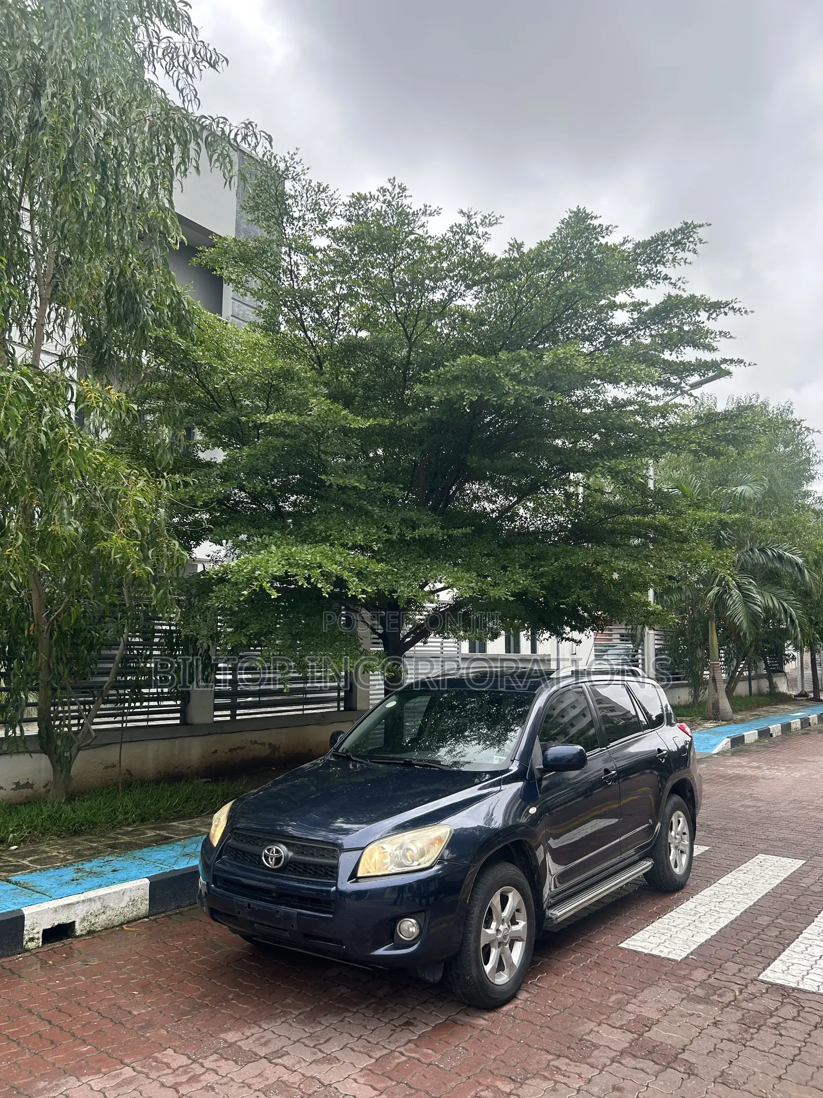 Toyota RAV4 2009 Blue