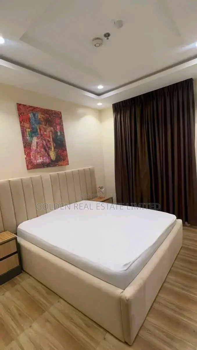 Furnished 3bdrm Duplex in Asokoro for rent