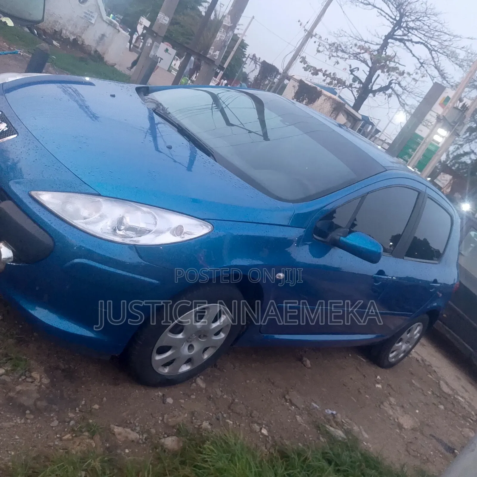 Peugeot 307 2006 Blue