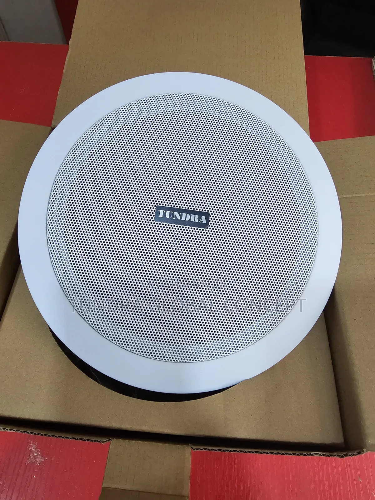 Tundra 30watts Frame Ceiling Speaker