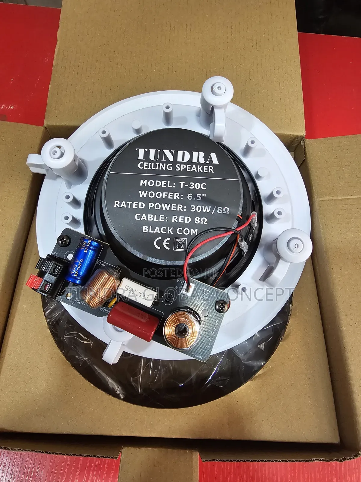 Tundra 30watts Frame Ceiling Speaker