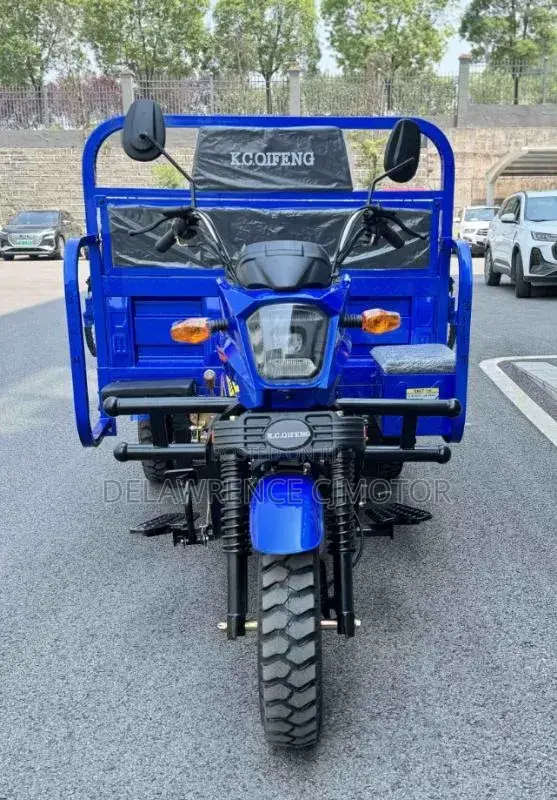 New Tricycle 2025 Blue