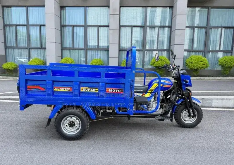 New Tricycle 2025 Blue