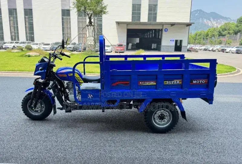 New Tricycle 2025 Blue