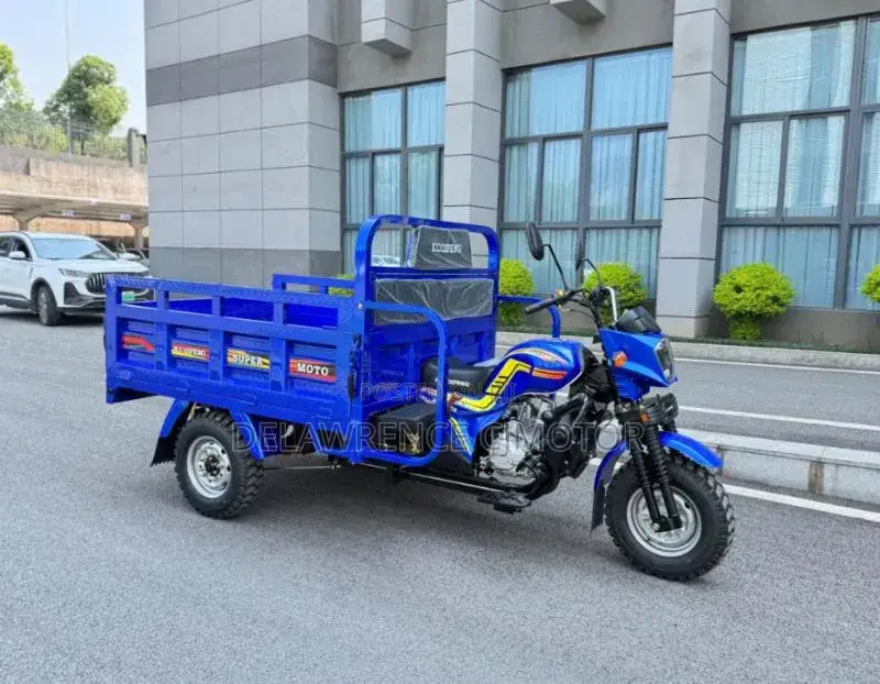 New Tricycle 2025 Blue