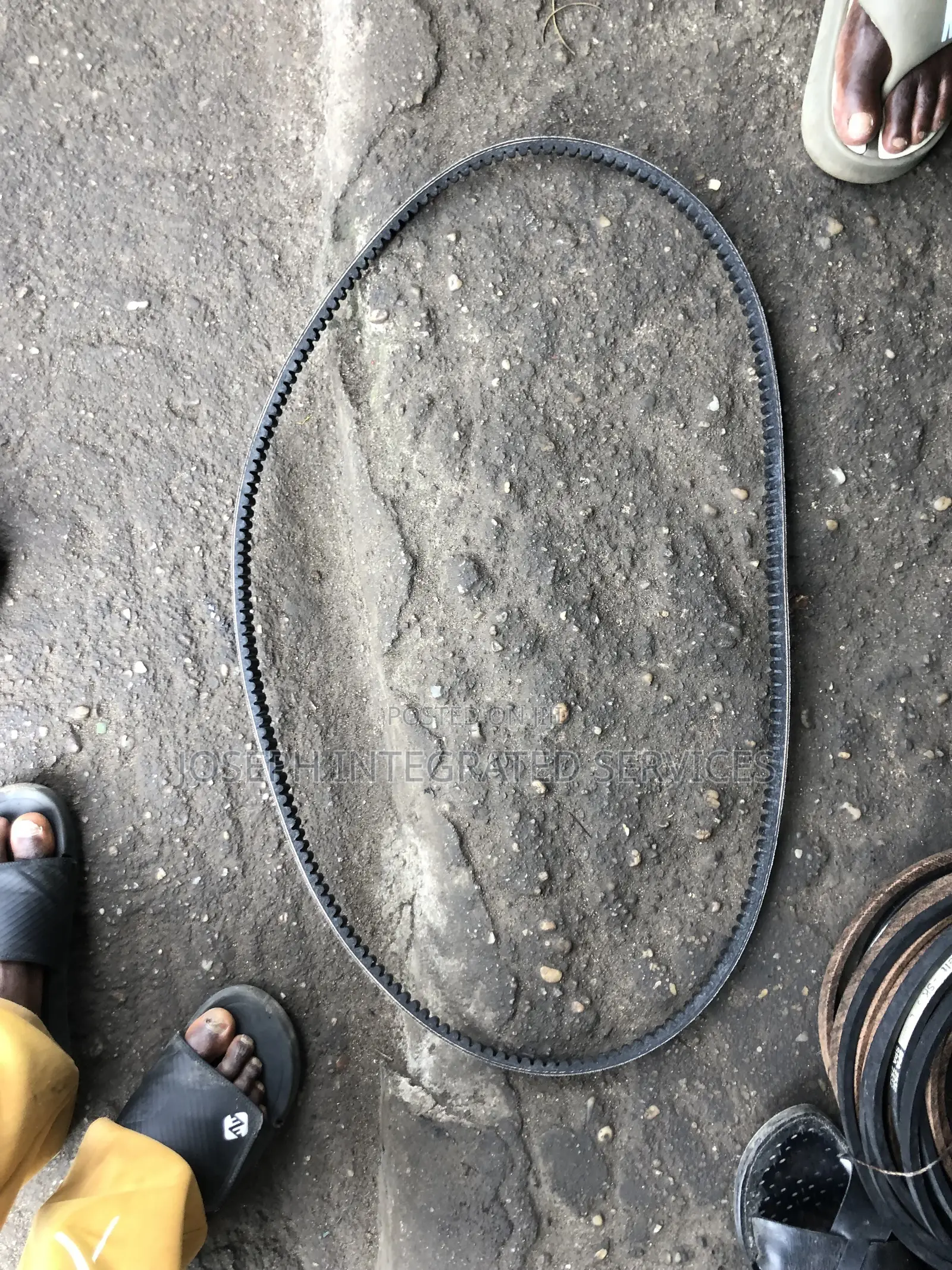 Caterpillar (Cat) Raw Edge, Cogged v-Belt With the Part Number 6n-6650