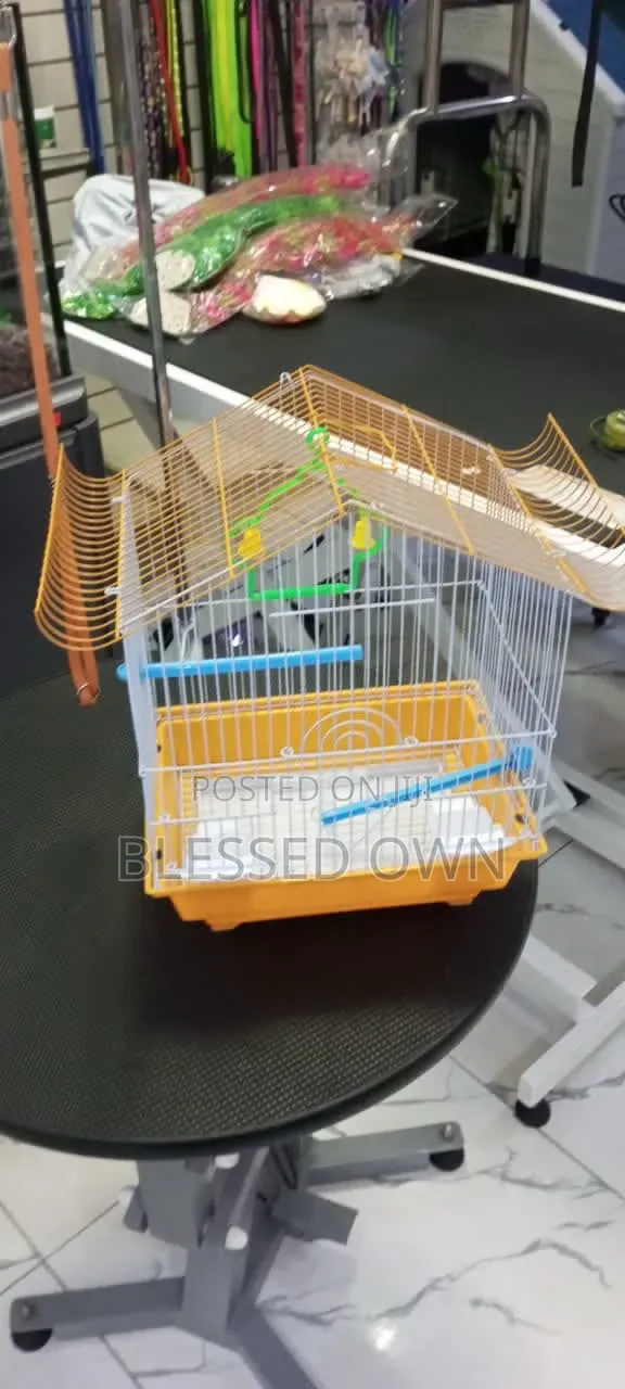 Colorful Strong Parrots Bird Cage