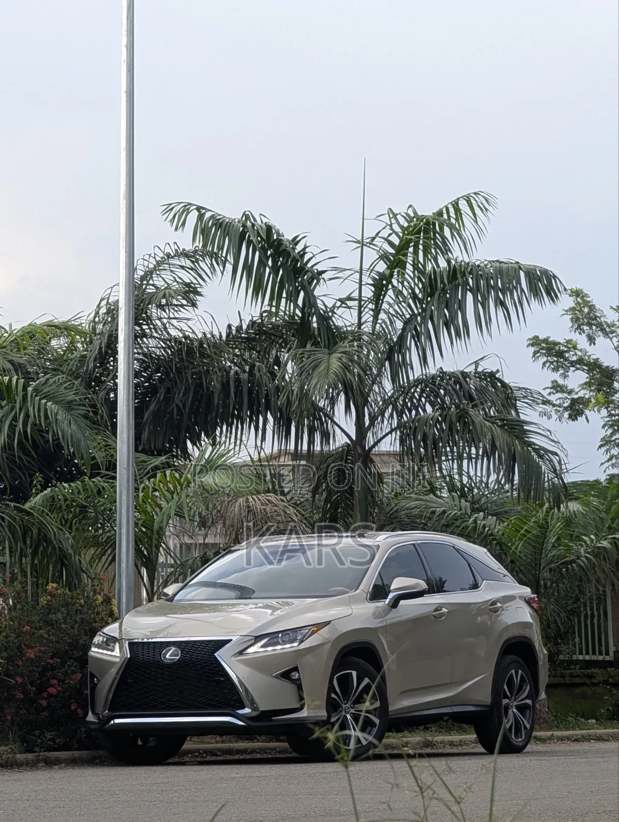 Lexus RX 2020 Gold