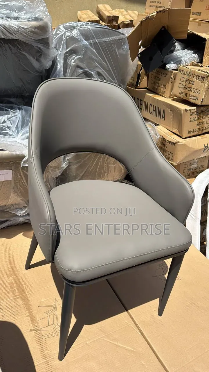 Modern Dining Chair / Balcony Chair