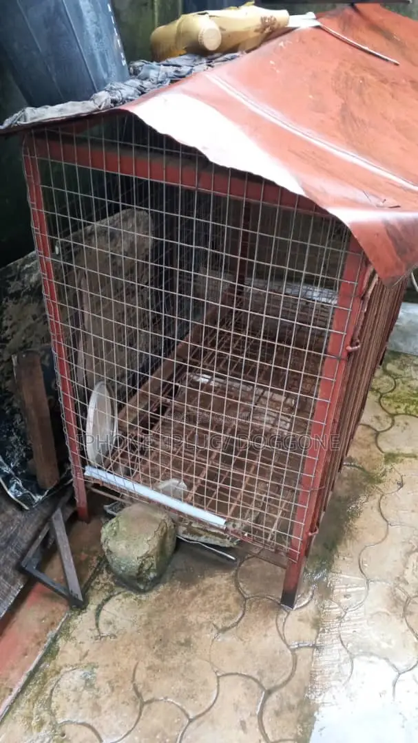 Big Cage for Dog