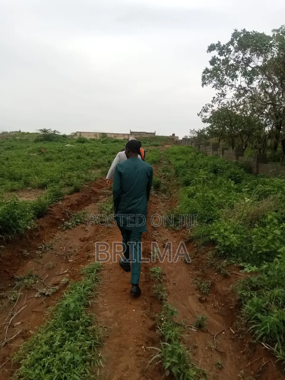 Distress Sale ! 250 SQM of Land in Karsana for Sale