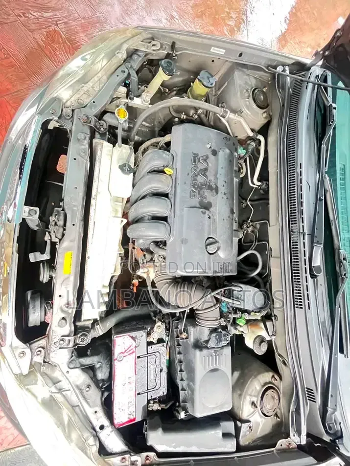 Toyota Corolla 2006 Gray