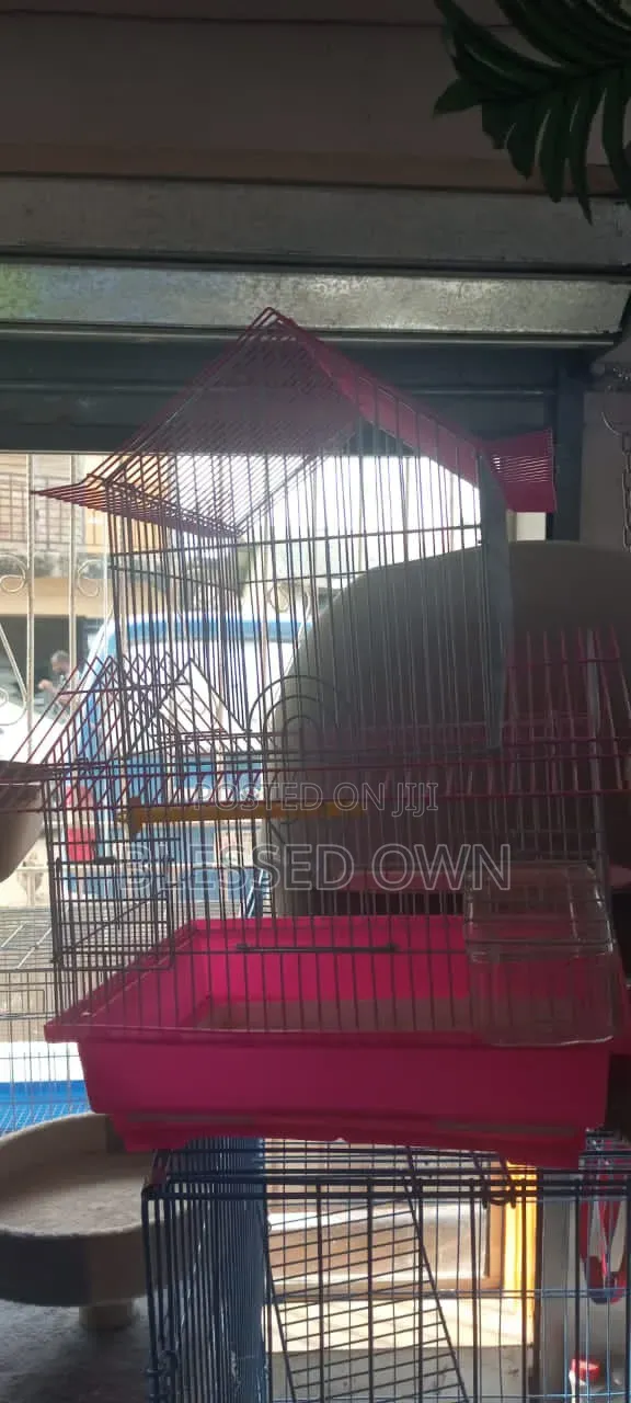 Luxury Bird Cage