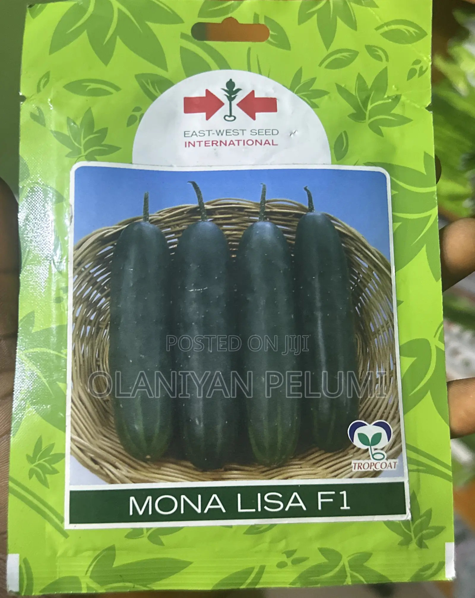 Mona Lisa F1 Cucumber