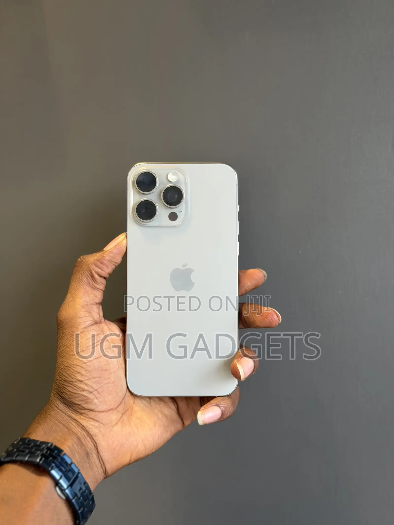 Apple iPhone 15 Pro Max 256 GB Gray