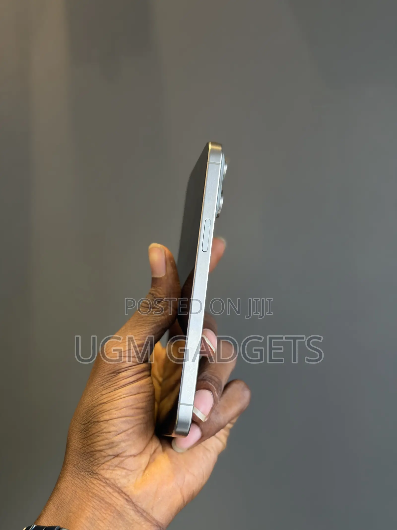Apple iPhone 15 Pro Max 256 GB Gray