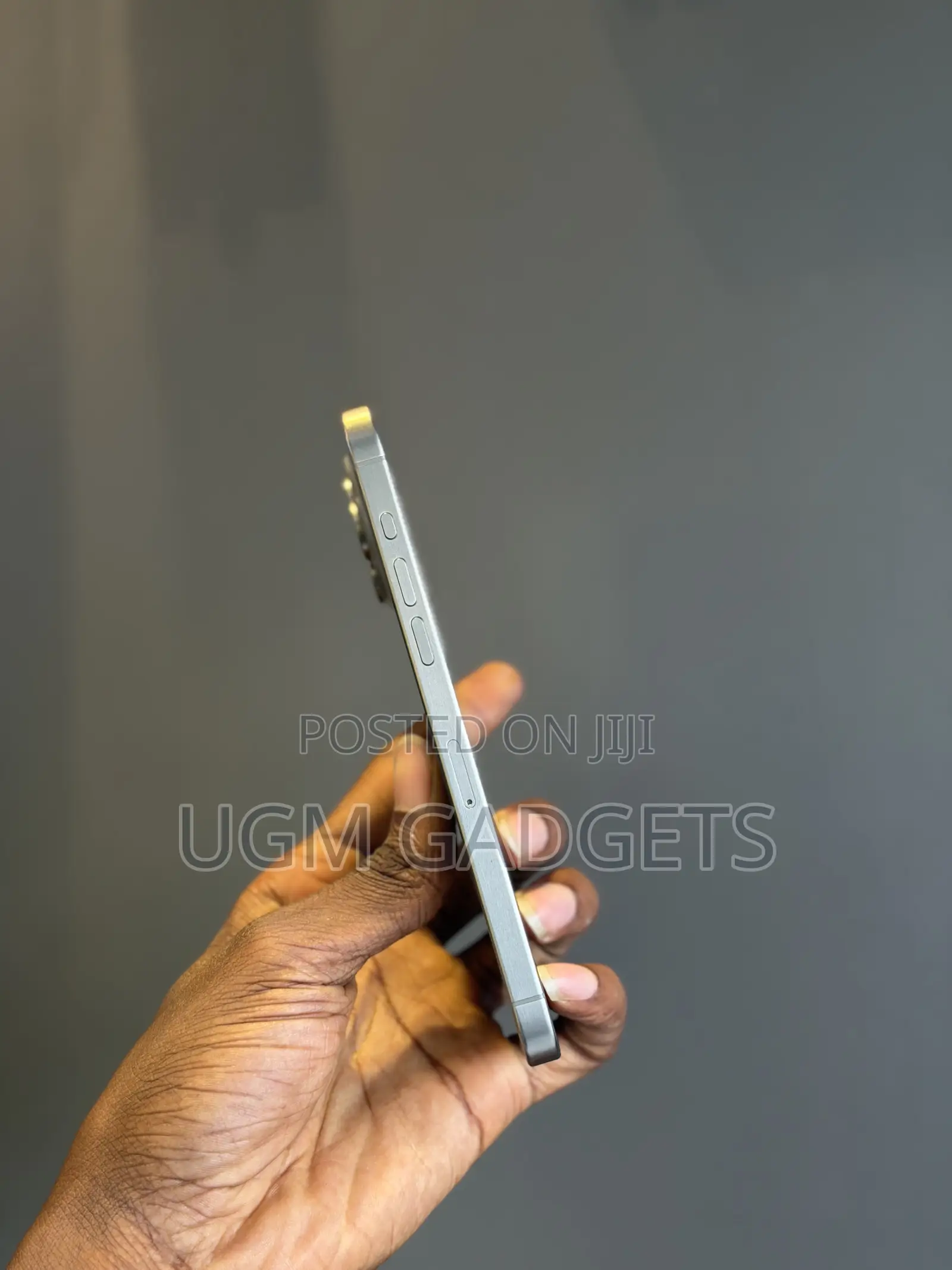 Apple iPhone 15 Pro Max 256 GB Gray