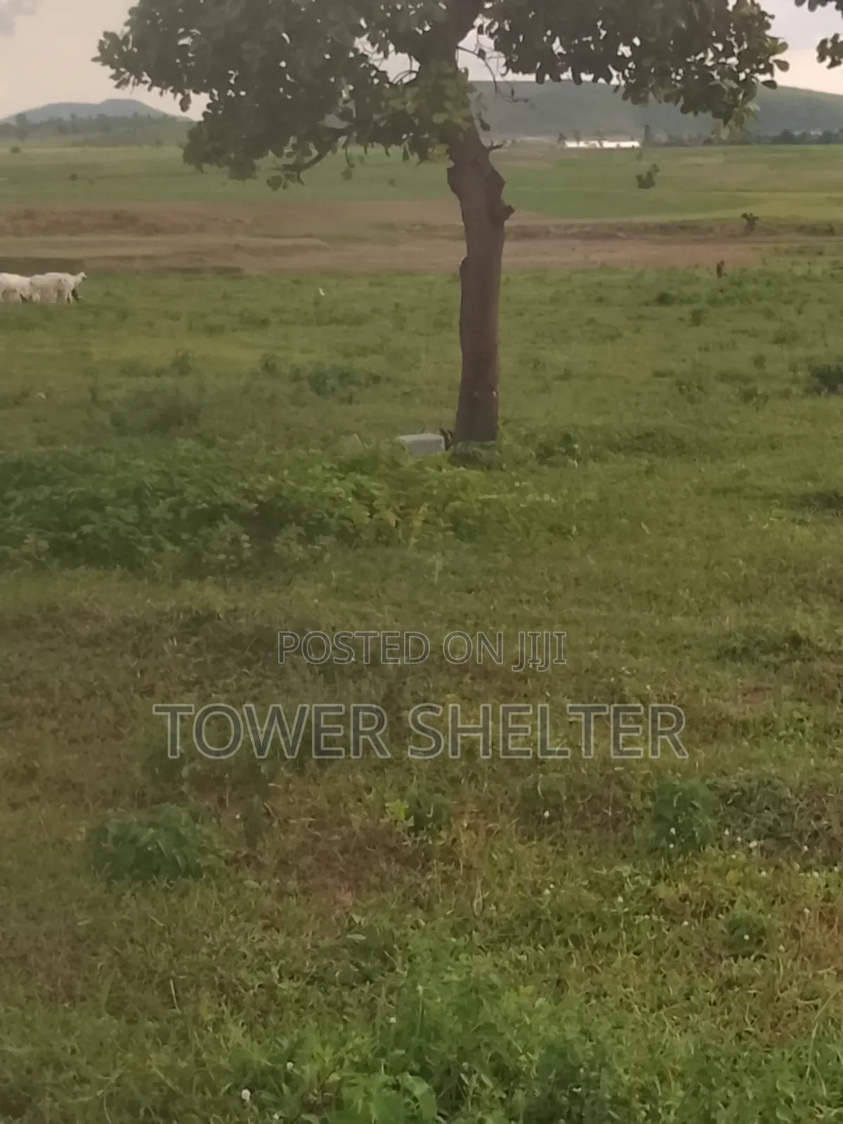Estate Plot for Sale