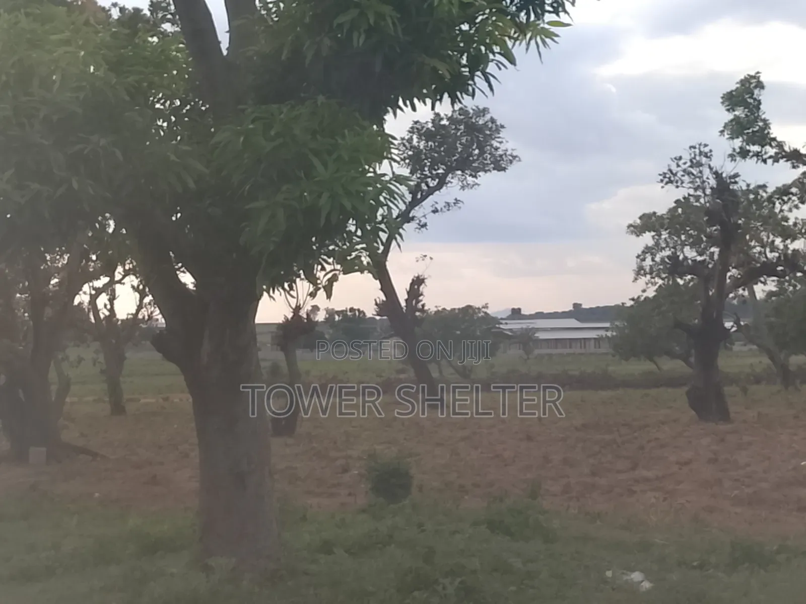 Estate Plot for Sale