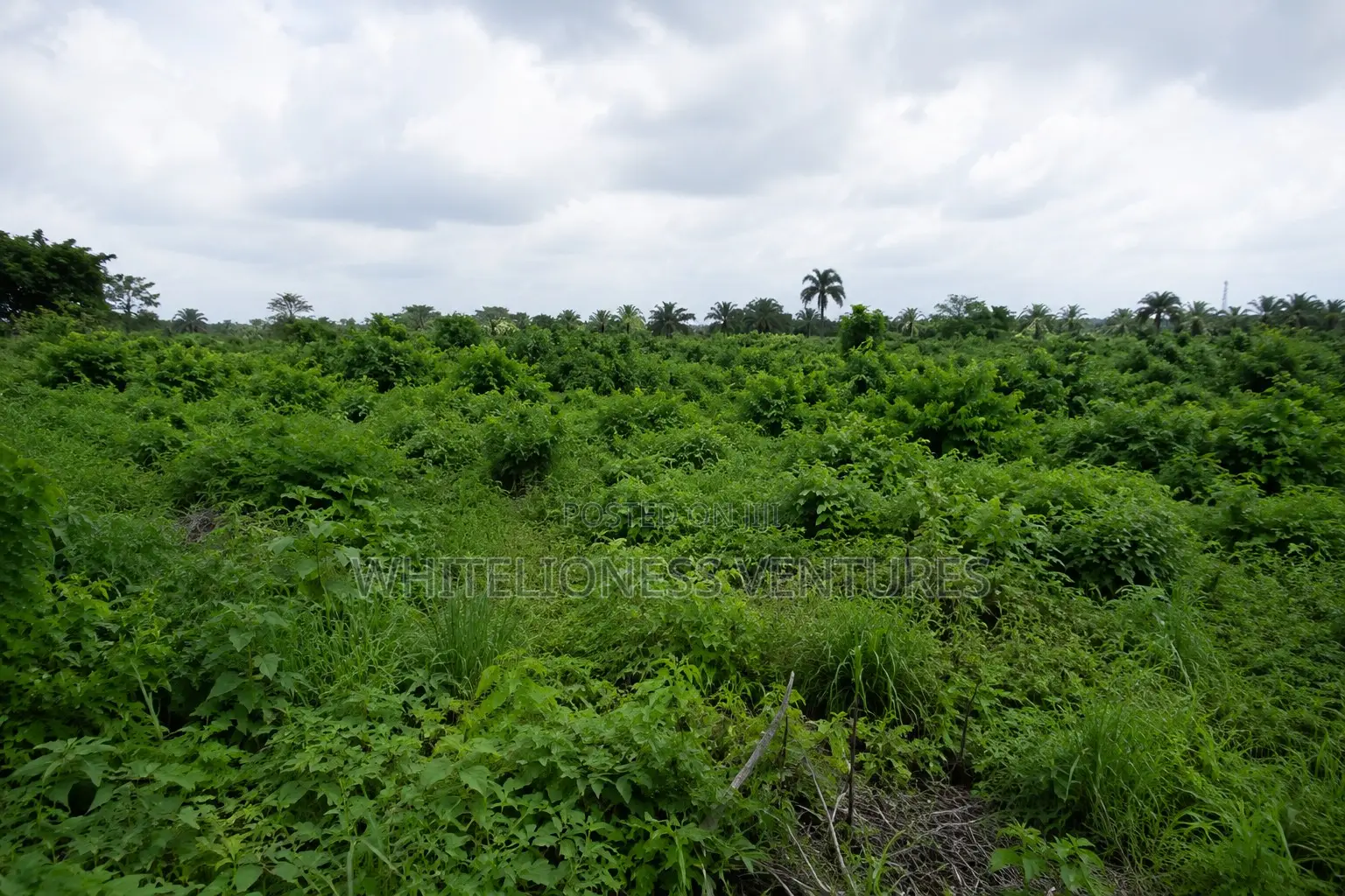 Land for Sale in Owerri Imo State