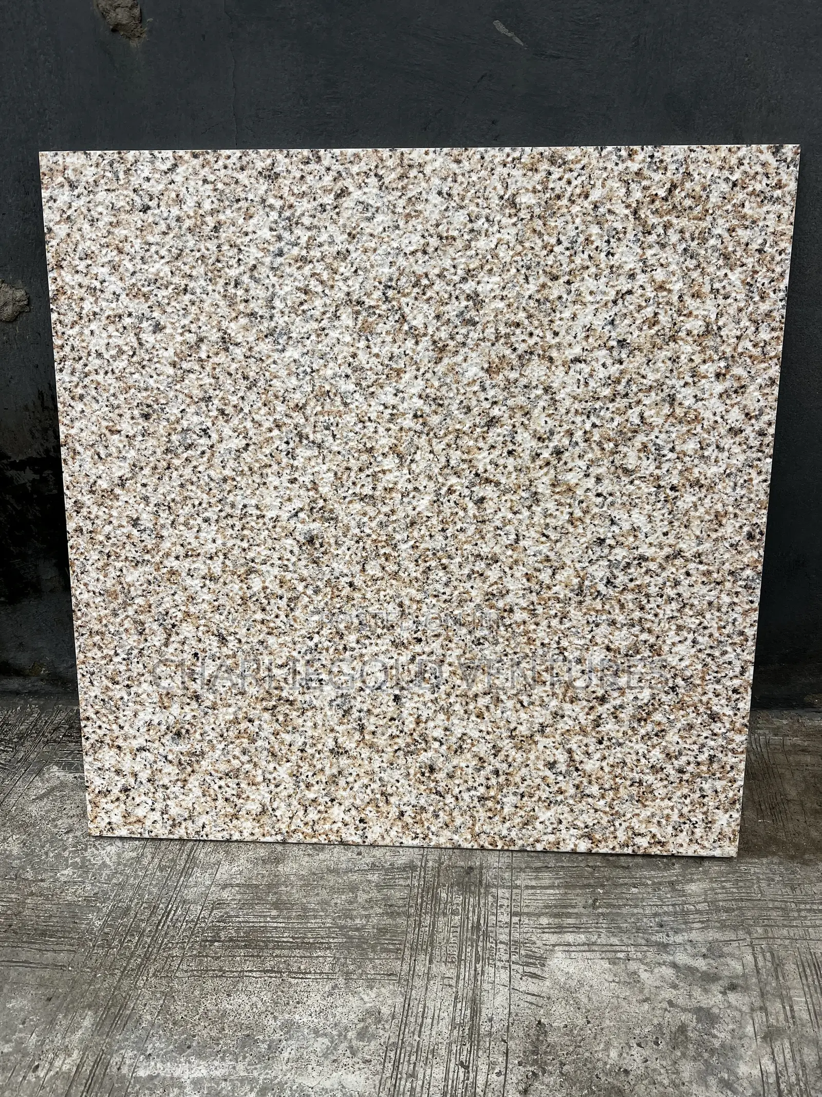 Newly Designed Matt Floor Tiles