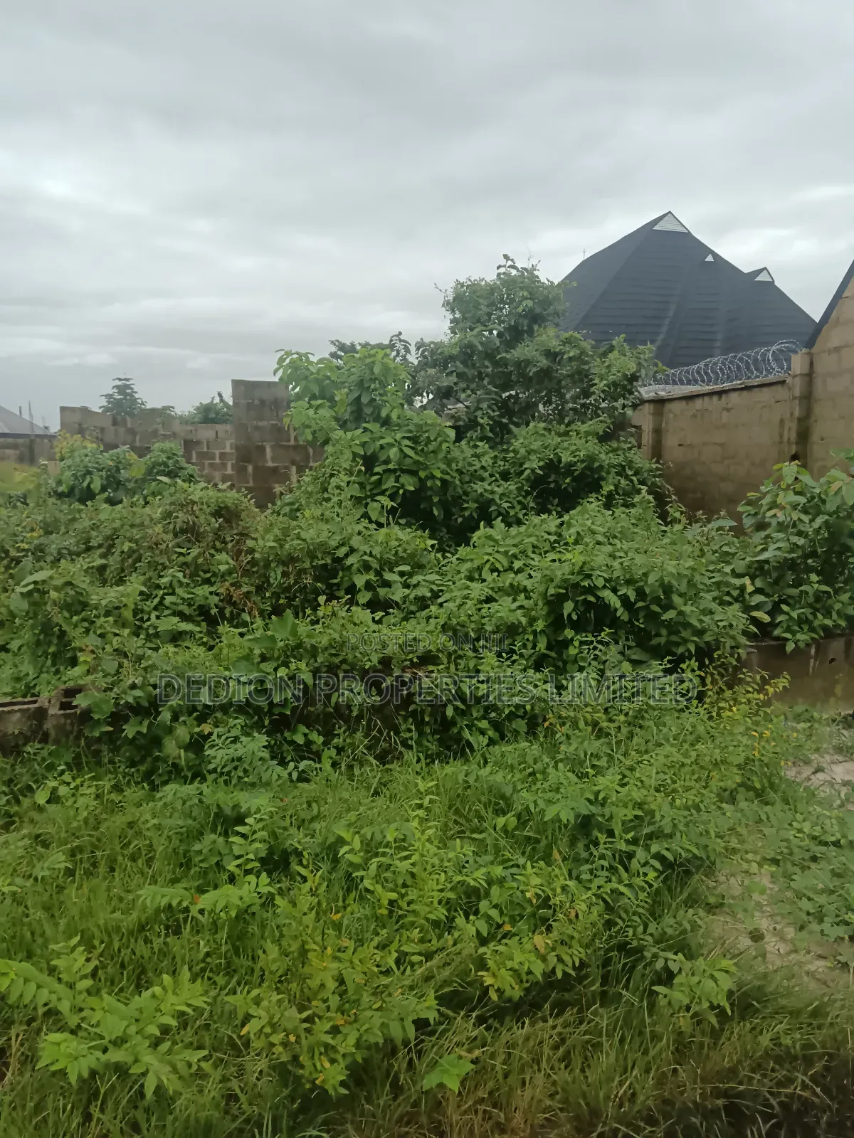 Iraye Epe Land With Freehold and Registered Survey