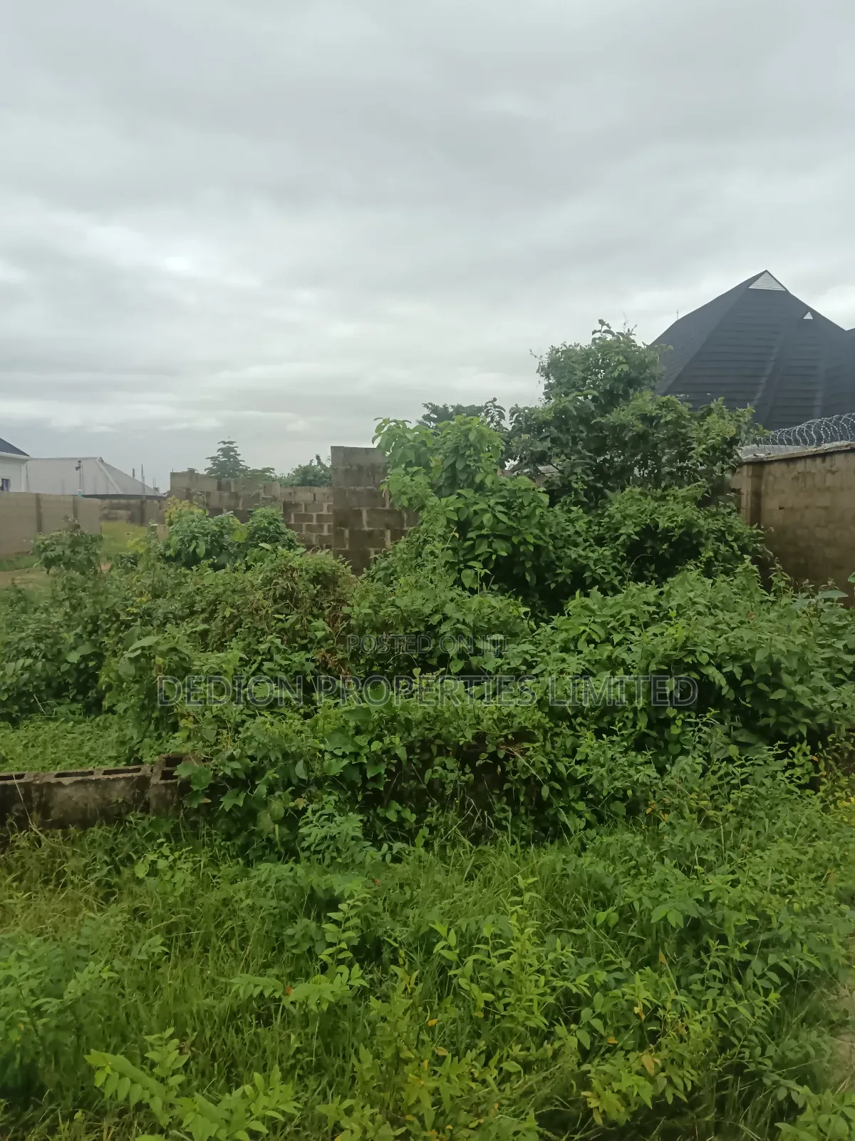 Iraye Epe Land With Freehold and Registered Survey