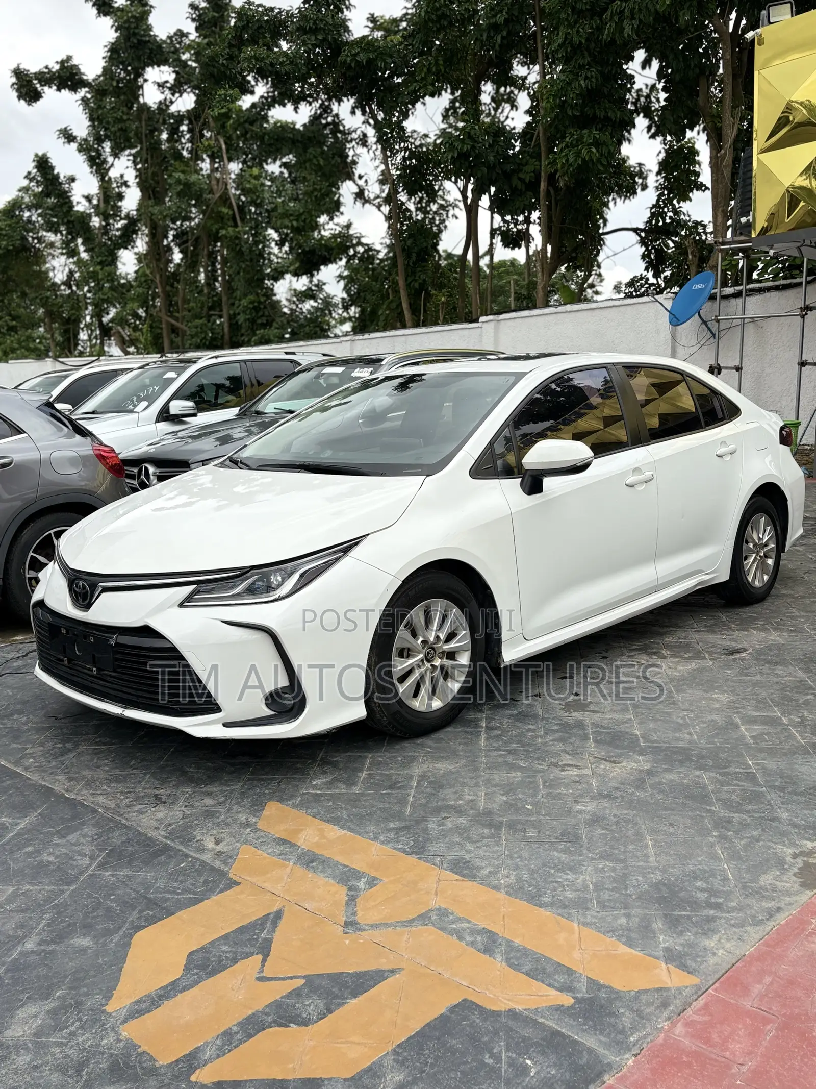 Toyota Corolla 2023 White