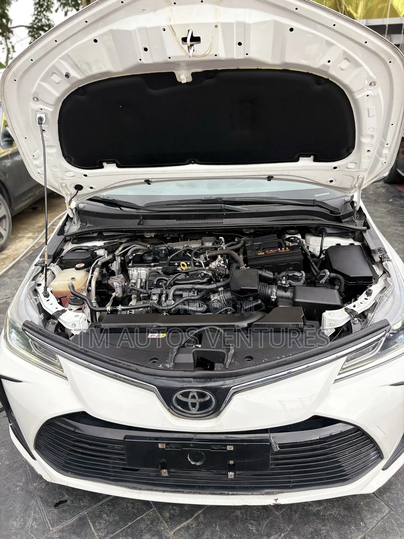 Toyota Corolla 2023 White