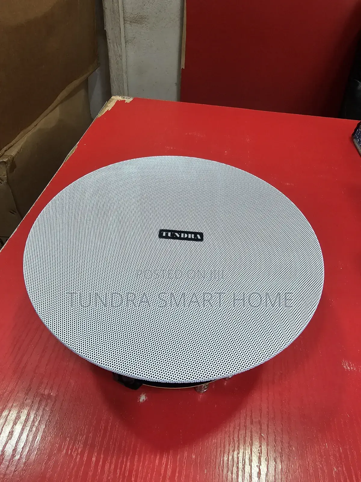 Tundra 40watts Frameless Speaker